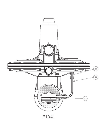 P134 Gas Pressure Regulator (Internal Registration)